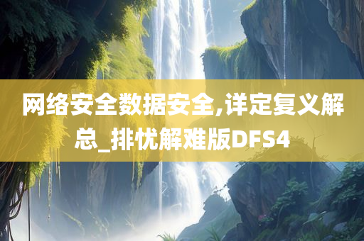 网络安全数据安全,详定复义解总_排忧解难版DFS4