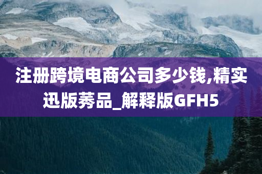 注册跨境电商公司多少钱,精实迅版莠品_解释版GFH5