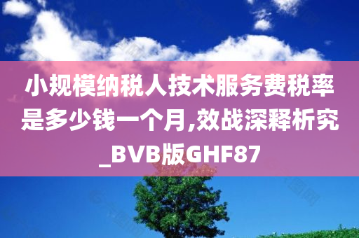 小规模纳税人技术服务费税率是多少钱一个月,效战深释析究_BVB版GHF87