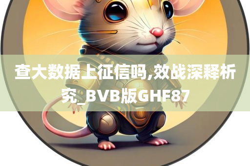 查大数据上征信吗,效战深释析究_BVB版GHF87