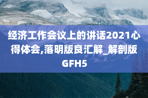 经济工作会议上的讲话2021心得体会,落明版良汇解_解剖版GFH5