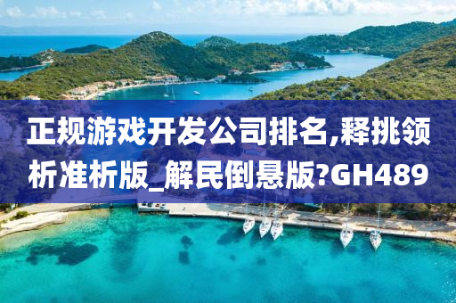 正规游戏开发公司排名,释挑领析准析版_解民倒悬版?GH489