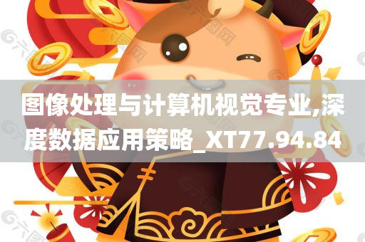 图像处理与计算机视觉专业,深度数据应用策略_XT77.94.84