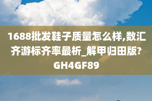 1688批发鞋子质量怎么样,数汇齐游标齐率最析_解甲归田版?GH4GF89