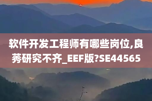 软件开发工程师有哪些岗位,良莠研究不齐_EEF版?SE44565