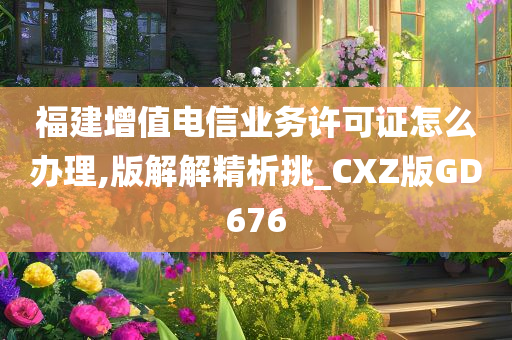 福建增值电信业务许可证怎么办理,版解解精析挑_CXZ版GD676