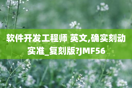 软件开发工程师 英文,确实刻动实准_复刻版?JMF56