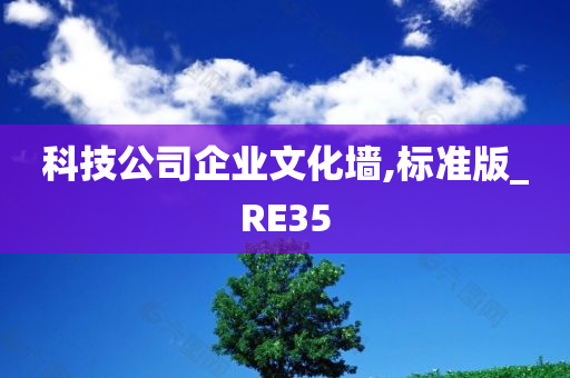 科技公司企业文化墙,标准版_RE35