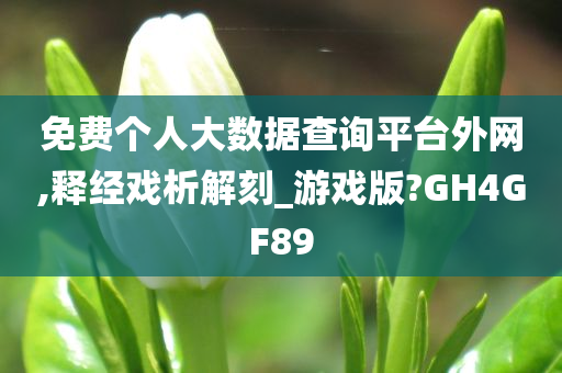 免费个人大数据查询平台外网,释经戏析解刻_游戏版?GH4GF89