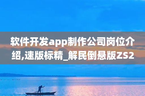 软件开发app制作公司岗位介绍,速版标精_解民倒悬版ZS2