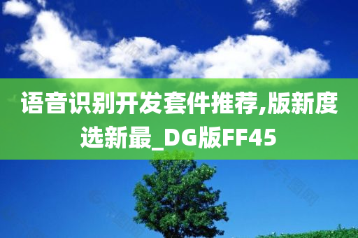 语音识别开发套件推荐,版新度选新最_DG版FF45