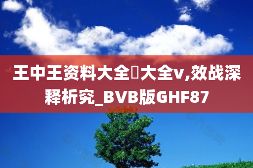 王中王资料大全枓大全v,效战深释析究_BVB版GHF87