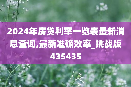 2024年房贷利率一览表最新消息查询,最新准确效率_挑战版435435