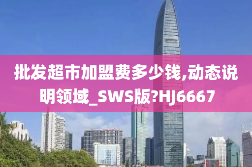 批发超市加盟费多少钱,动态说明领域_SWS版?HJ6667