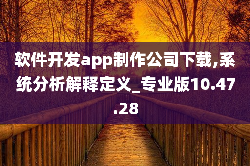 软件开发app制作公司下载,系统分析解释定义_专业版10.47.28