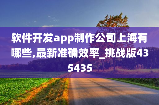 软件开发app制作公司上海有哪些,最新准确效率_挑战版435435