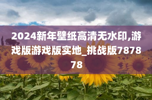 2024新年壁纸高清无水印,游戏版游戏版实地_挑战版787878