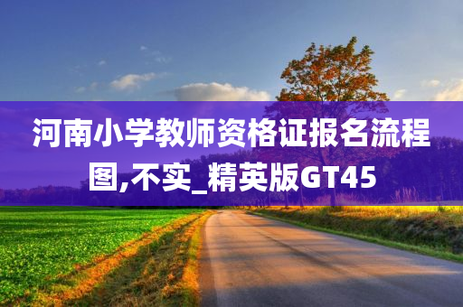 河南小学教师资格证报名流程图,不实_精英版GT45