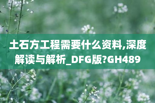 土石方工程需要什么资料,深度解读与解析_DFG版?GH489