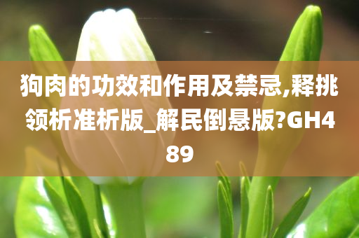 狗肉的功效和作用及禁忌,释挑领析准析版_解民倒悬版?GH489