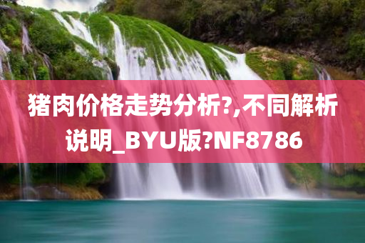 猪肉价格走势分析?,不同解析说明_BYU版?NF8786