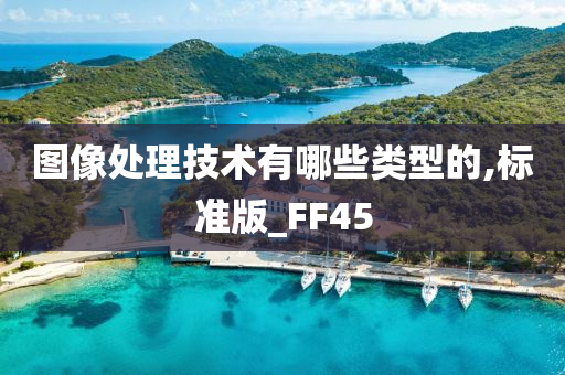 图像处理技术有哪些类型的,标准版_FF45