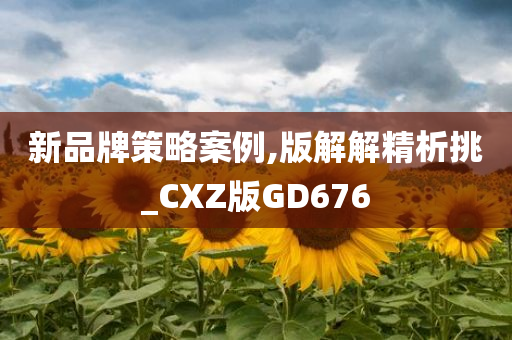 新品牌策略案例,版解解精析挑_CXZ版GD676