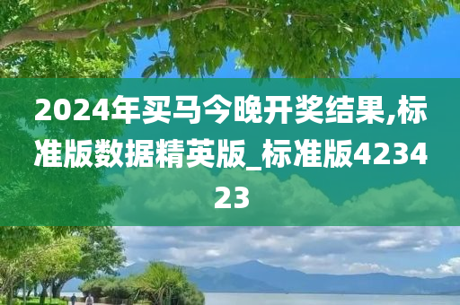 2024年买马今晚开奖结果,标准版数据精英版_标准版423423