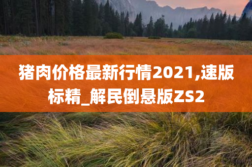 猪肉价格最新行情2021,速版标精_解民倒悬版ZS2