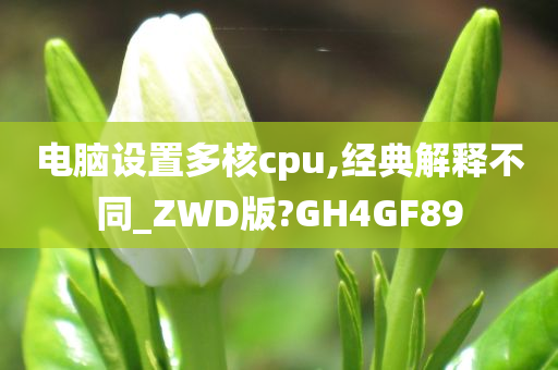 电脑设置多核cpu,经典解释不同_ZWD版?GH4GF89