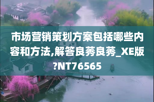 市场营销策划方案包括哪些内容和方法,解答良莠良莠_XE版?NT76565