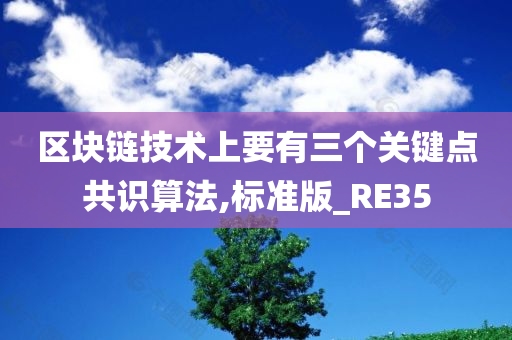 区块链技术上要有三个关键点共识算法,标准版_RE35