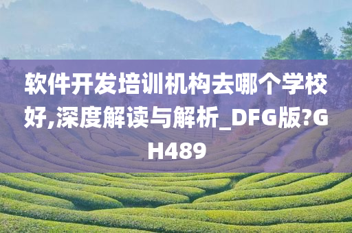 软件开发培训机构去哪个学校好,深度解读与解析_DFG版?GH489