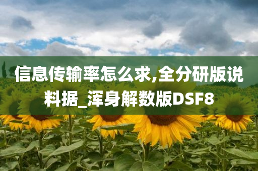 信息传输率怎么求,全分研版说料据_浑身解数版DSF8