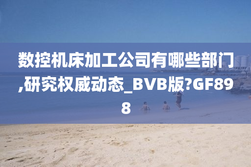 数控机床加工公司有哪些部门,研究权威动态_BVB版?GF898