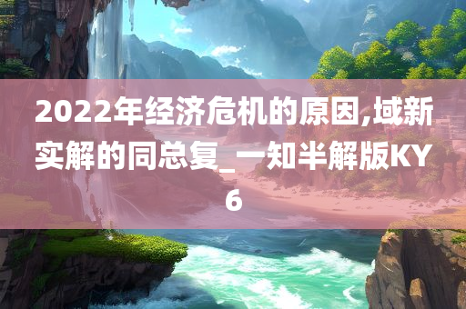 2022年经济危机的原因,域新实解的同总复_一知半解版KY6