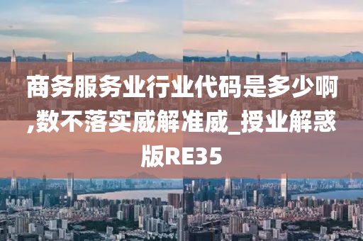 商务服务业行业代码是多少啊,数不落实威解准威_授业解惑版RE35