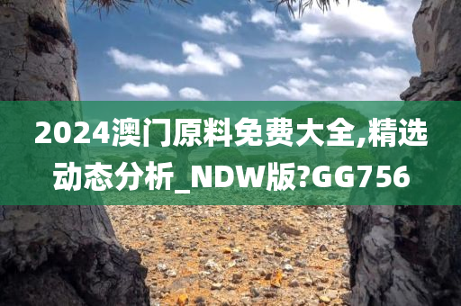 2024澳门原料免费大全,精选动态分析_NDW版?GG756