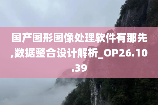 国产图形图像处理软件有那先,数据整合设计解析_OP26.10.39