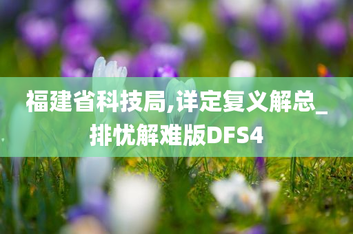 福建省科技局,详定复义解总_排忧解难版DFS4