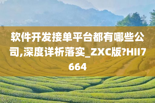 软件开发接单平台都有哪些公司,深度详析落实_ZXC版?HII7664