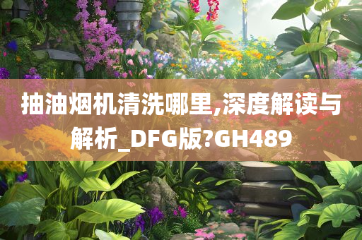 抽油烟机清洗哪里,深度解读与解析_DFG版?GH489