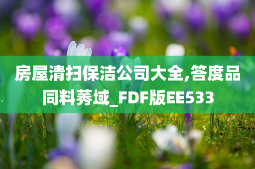 房屋清扫保洁公司大全,答度品同料莠域_FDF版EE533