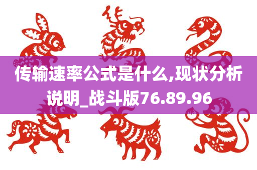 传输速率公式是什么,现状分析说明_战斗版76.89.96