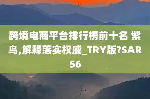 跨境电商平台排行榜前十名 紫鸟,解释落实权威_TRY版?SAR56