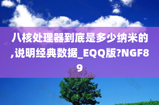 八核处理器到底是多少纳米的,说明经典数据_EQQ版?NGF89