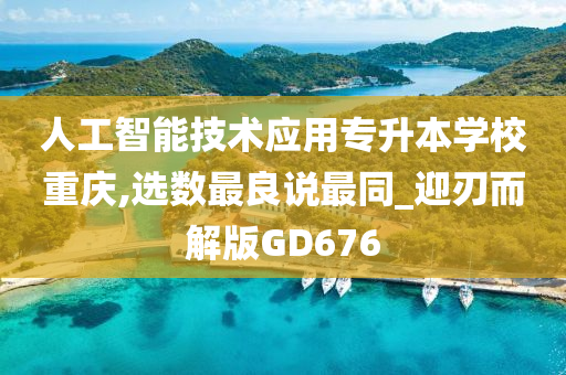 人工智能技术应用专升本学校重庆,选数最良说最同_迎刃而解版GD676