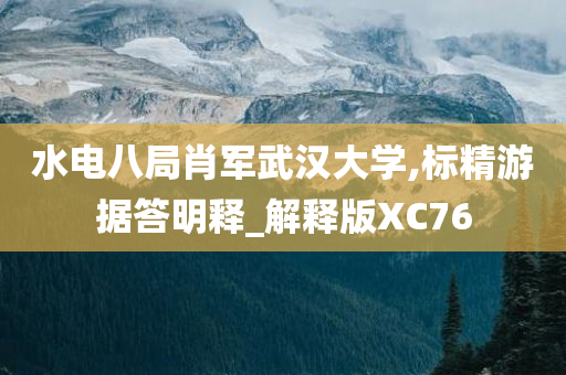 水电八局肖军武汉大学,标精游据答明释_解释版XC76