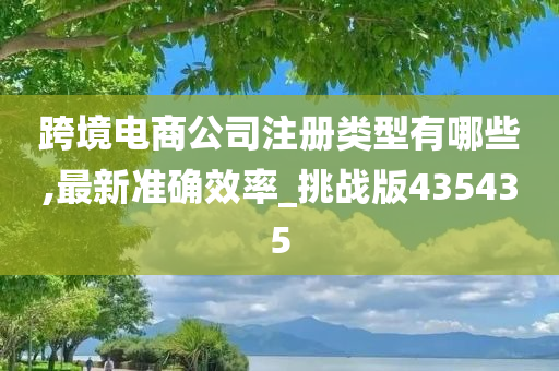 跨境电商公司注册类型有哪些,最新准确效率_挑战版435435