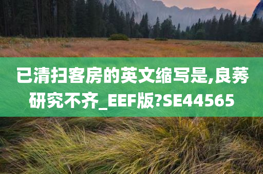 已清扫客房的英文缩写是,良莠研究不齐_EEF版?SE44565